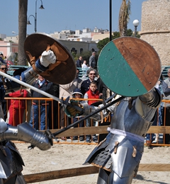 Corteo storico 2008, foto 024