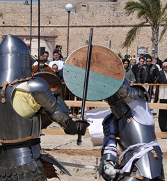 Corteo storico 2008, foto 027