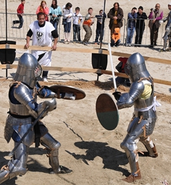 Corteo storico 2008, foto 032