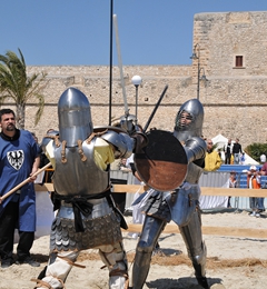 Corteo storico 2008, foto 049