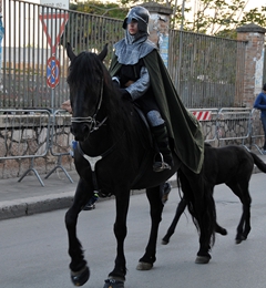 Corteo storico 2008, foto 078