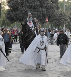 Corteo storico 2008, foto 080