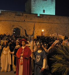 Corteo storico 2008, foto 153