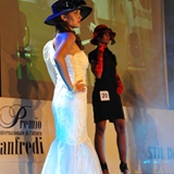 Premio di Cultura Re Manfredi 2011 - Foto 106