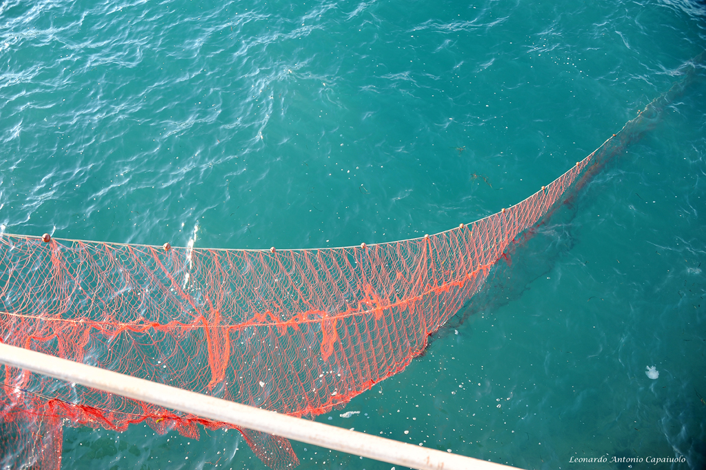 Trabucco