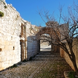 Abbazia di Santa Maria di Pulsano - Foto 022