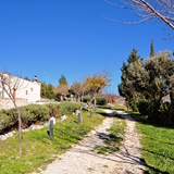 Abbazia di Santa Maria di Pulsano - Foto 047