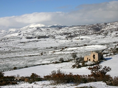 Neve Gargano