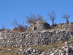 Nuraghe di Pulsano