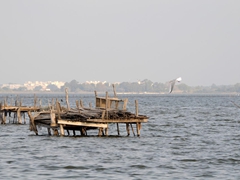 Lago di Lesina