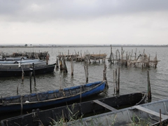 Lago di Lesina