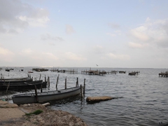 Lago di Lesina