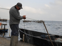 Pescatore Lago di Lesina