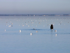 Lago di Varano