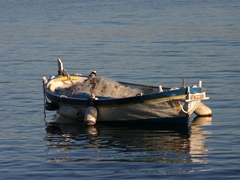 Mattinata barca da pesca