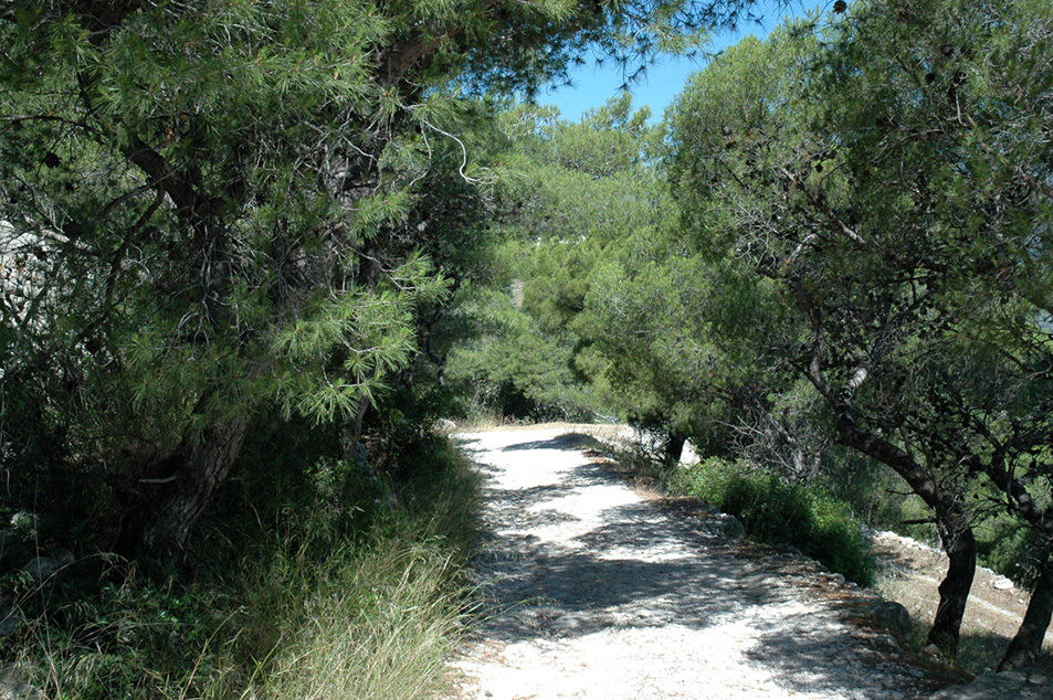 Monte Saraceno