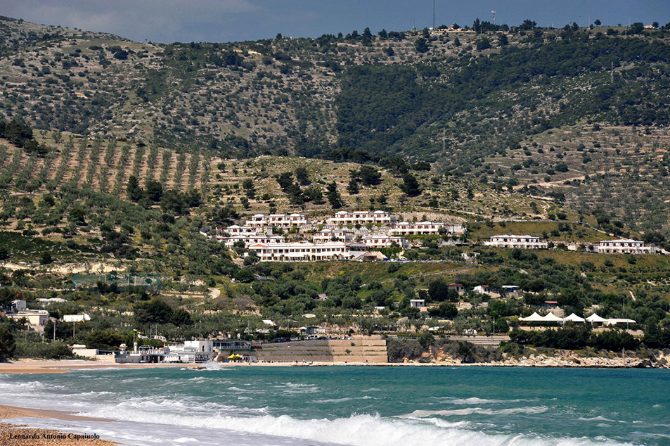 spiaggia
