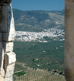 Mattinata Foto 013