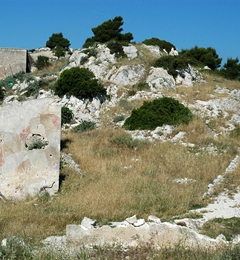 Mattinata Foto 014
