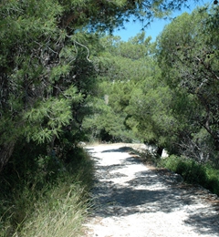Mattinata Foto 015