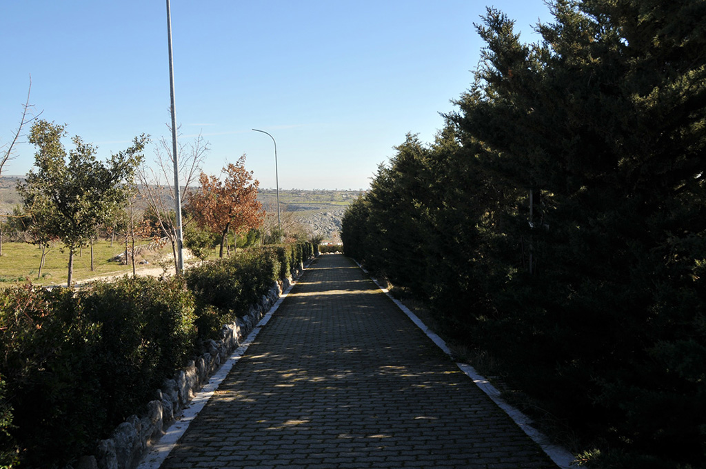 Viale alberato di Pulsano