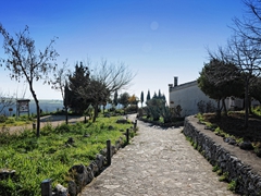 Abbazia di Pulsano - 044