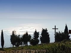 Abbazia di Pulsano - 045