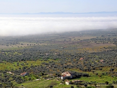 Chiesa di San Pio - 001