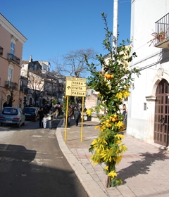 vicodelgargano_san_vlentino_2007_015