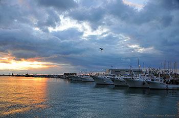 Porto di Manfredonia