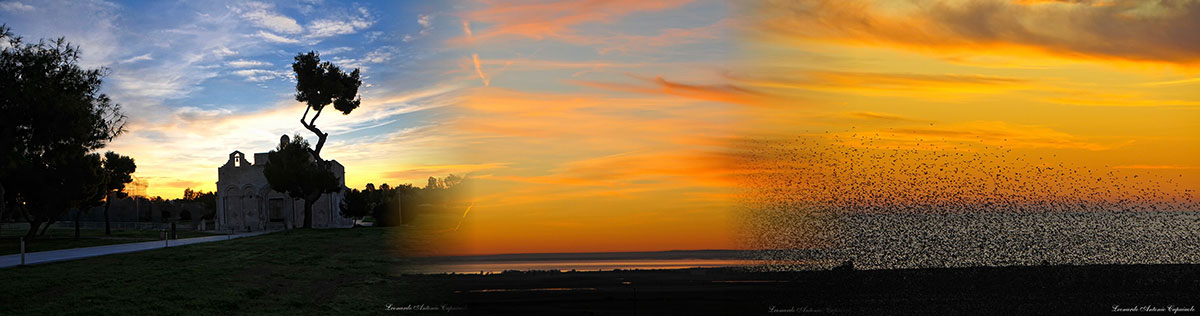 Manfredonia alba del 15 dicembre 2019