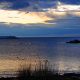 manfredonia_pennellate_di_colori_foto_007