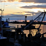 manfredonia_pennellate_di_colori_foto_021