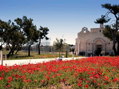 Basilica di Siponto 1