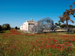 Basilica di Siponto 7