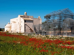 Basilica di Siponto 8