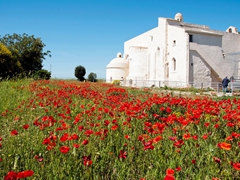 Basilica di Siponto 9