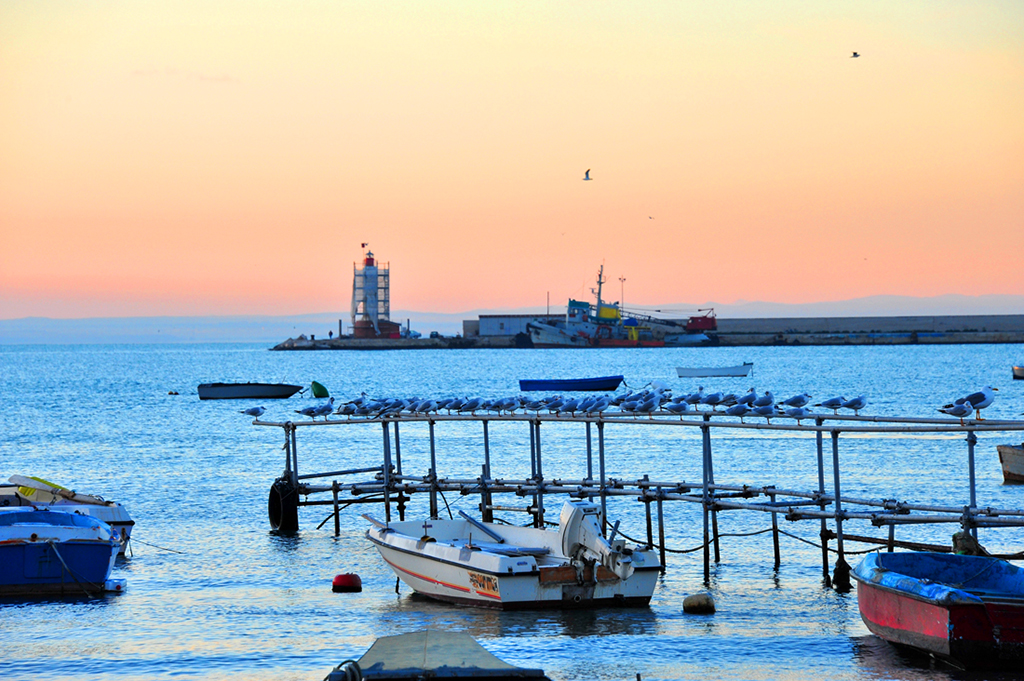 molo di levante manfredonia