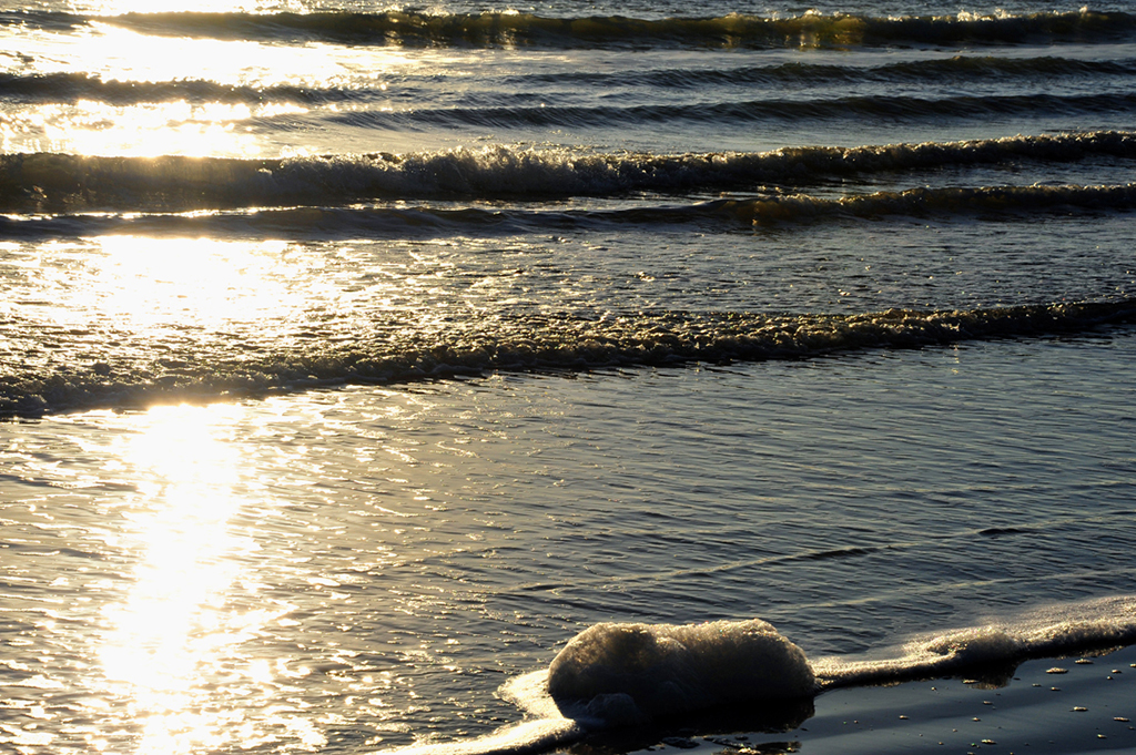 spiaggia di siponto