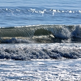 spiaggia_di_siponto_foto_003