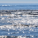 spiaggia_di_siponto_foto_004
