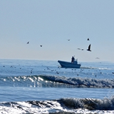 spiaggia_di_siponto_foto_007