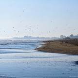 spiaggia_di_siponto_foto_027