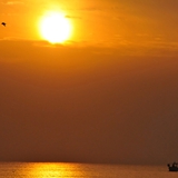 spiaggia_di_siponto_foto_034