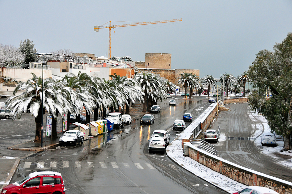 viale nazario sauro