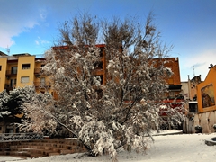 Neve a Manfredonia - 013