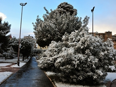 Neve a Manfredonia - 017