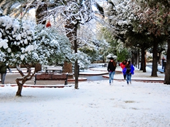 Neve a Manfredonia - 019