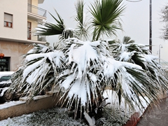 Neve a Manfredonia - 027