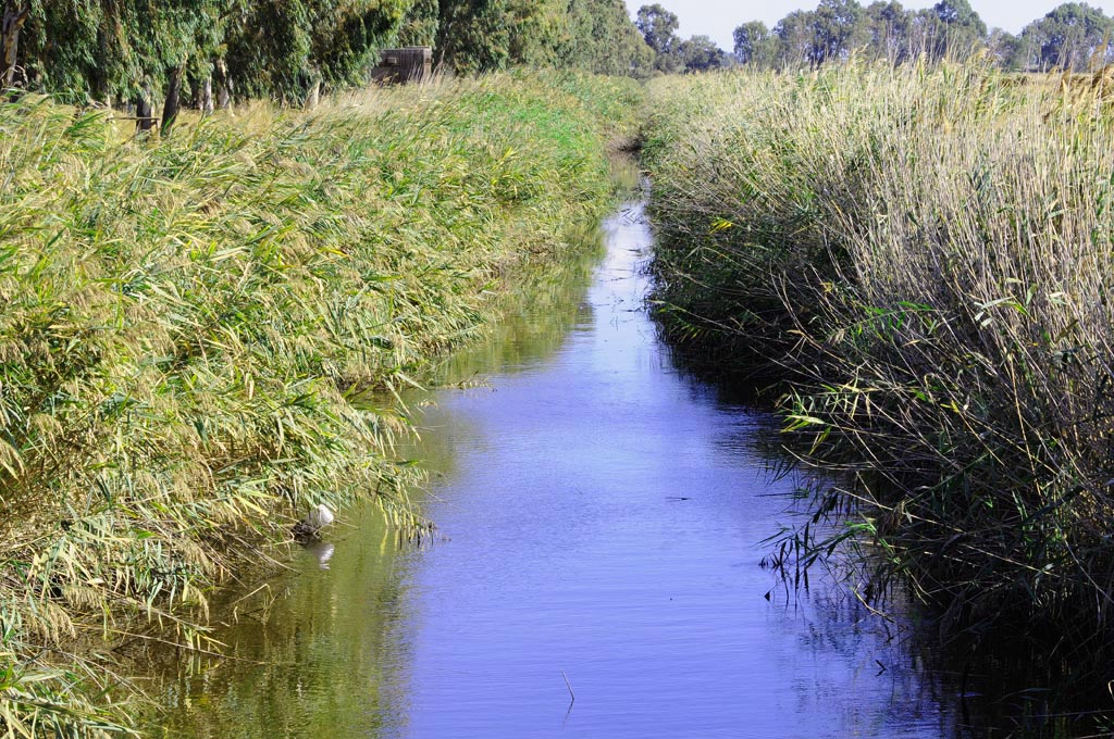 oasi lago salso